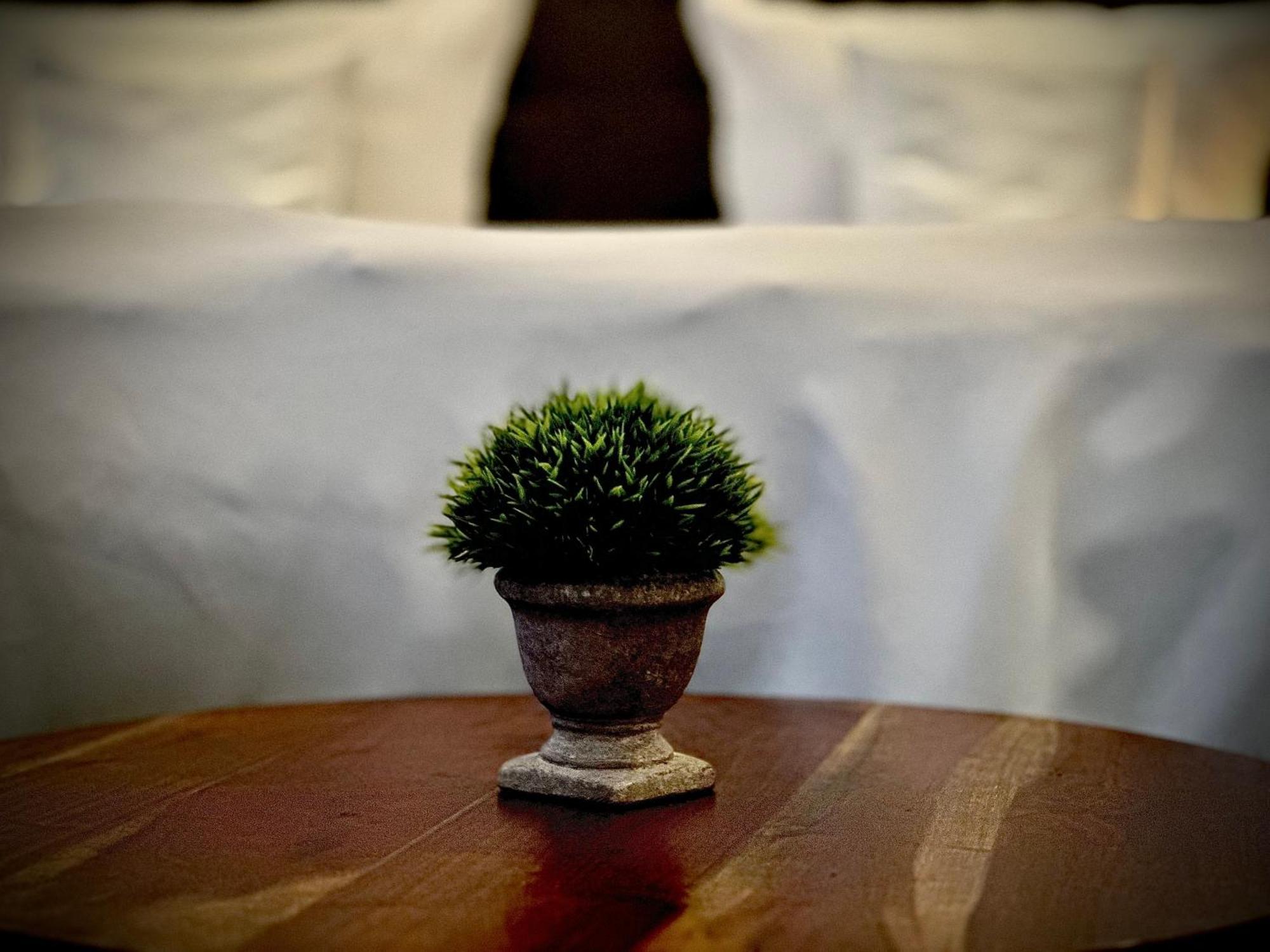 Privathotel Riesenbeck โฮร์สเทล ภายนอก รูปภาพ